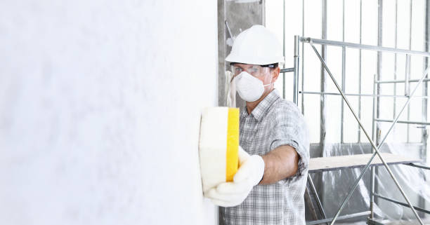 Best Mold Remediation for Healthcare Facilities  in West Columbia, TX